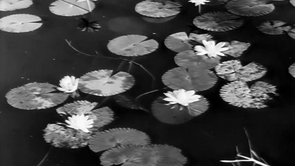 محمد عبدالوهاب - يا مسافر وحدك