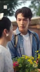 Where the Light Enters - HerSceneDaily