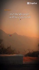 Behind Every Success Story is a Struggle