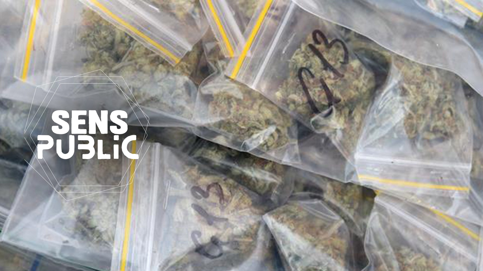 Narcotrafic : la France à l'ère des mafias ?