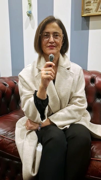 Bacoli (NA) - Elezioni Regionali. FICO  PRESIDENTE  Daniela Scotto di Carlo (26.11.25)