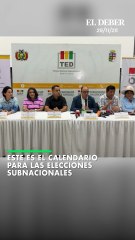 Este es el calendario para las elecciones subnacionales