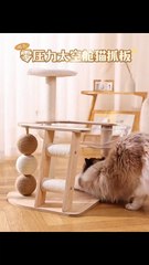 New Pet Toy MDF Transparent Space Capsule – The Ultimate Cat Apartment & Activity Center