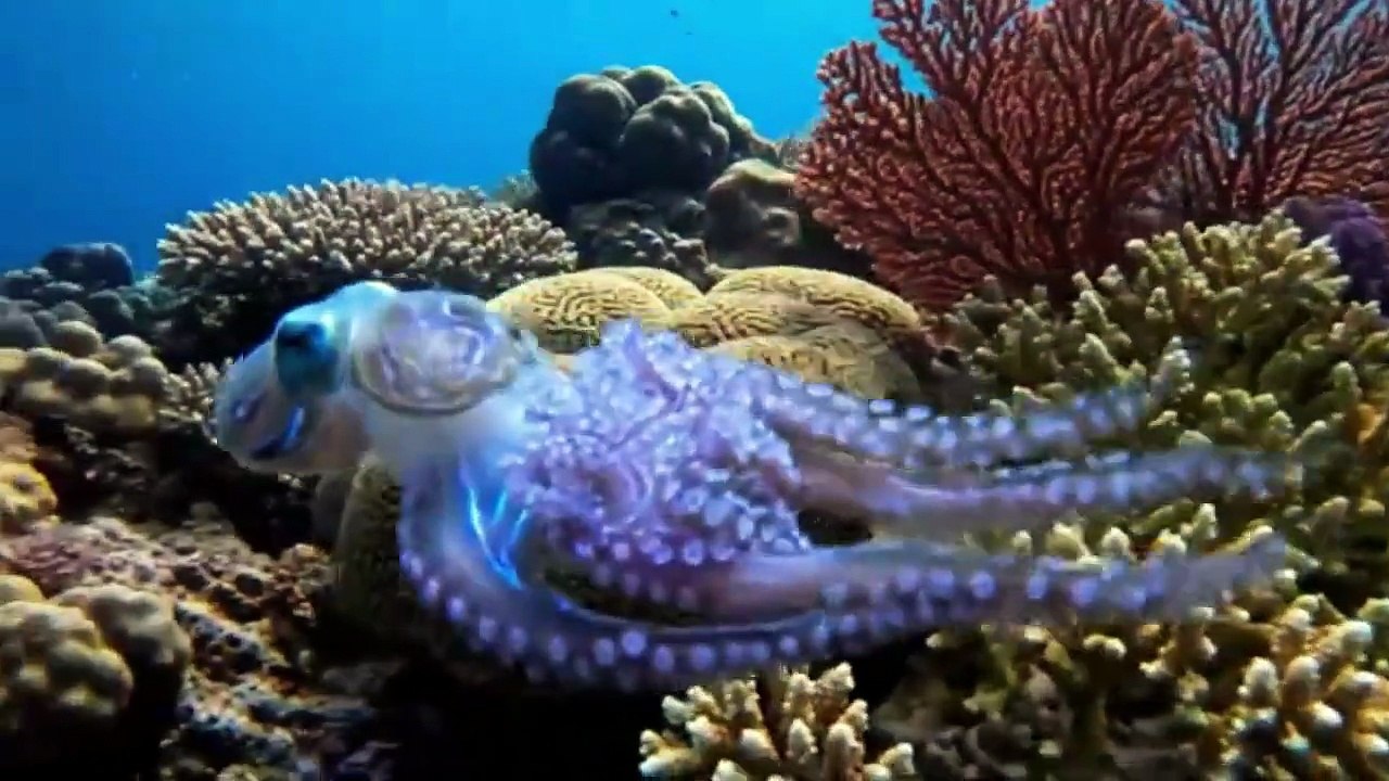 CLEAR WATER