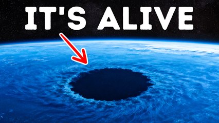 Marine Biologists Just Found Something Truly Insane