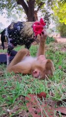 Best SokYaa, OG, Pao & Mom Are Famous Around The World #shorts #anime #trend #edit