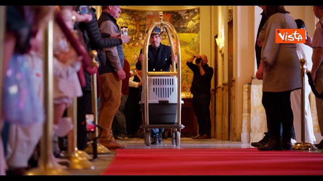 Ecco Gobble e Waddle, i due tacchini graziati da Trump per festa Ringraziamento