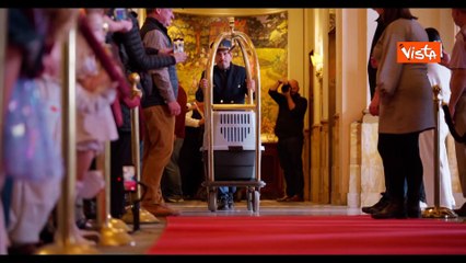 Ecco Gobble e Waddle, i due tacchini graziati da Trump per festa Ringraziamento