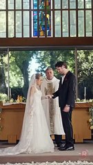 Bound by Honor#463093Binge-watch New Dramas #reelshorts#drama