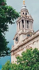 Bound by Honor#463093Binge-watch New Dramas #reelshorts#drama