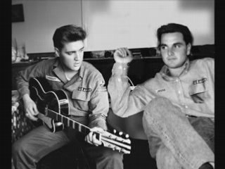 Elvis-don't be cruel by giovanni