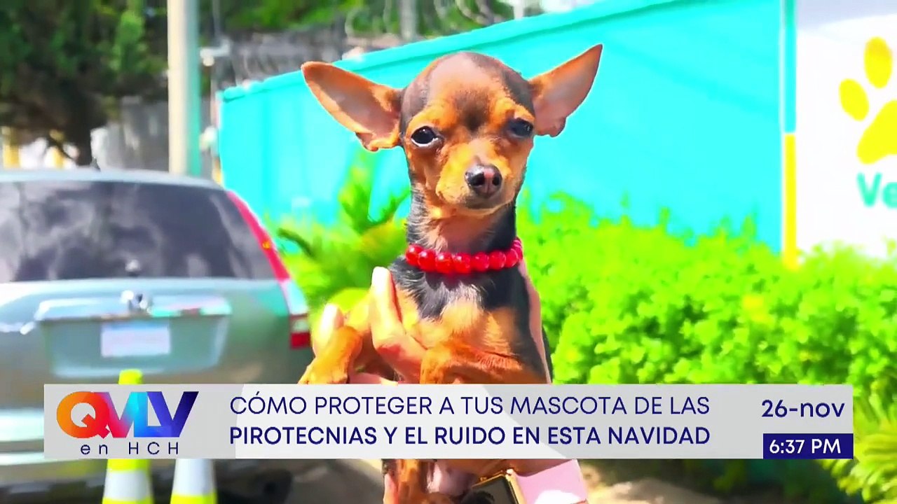 En Vivo (8560)