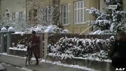 Nichts als Ärger mit den Männern