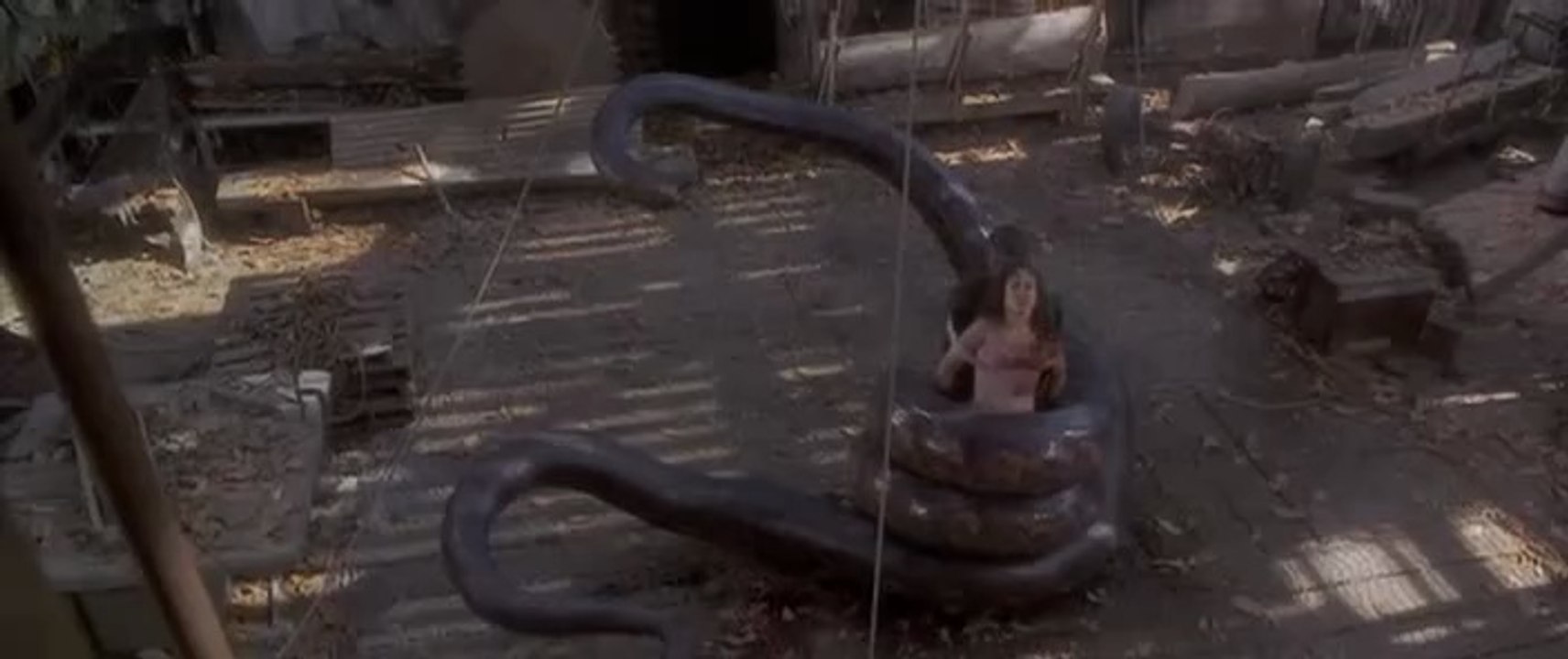Anaconda - 26