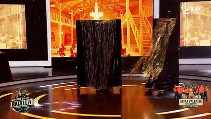 Erika Valencia - La princesa y el sapo