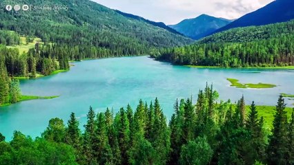 Музыка успокаивает, успокаивает нервную систему и радует душу - целебная музыка