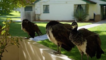 Abandoned Engineering - Season 15 Episode 10 - Peru's Massacre Island