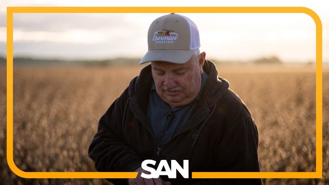 Trump’s tariffs are hurting farmers as Chinese soybean imports drop to zero