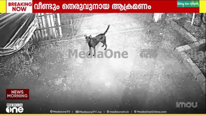 തെരുവുനായ ആക്രമണത്തിൽ നിന്ന് വിദ്യാർഥി രക്ഷപ്പെട്ടത് തലനാരിഴക്ക്...