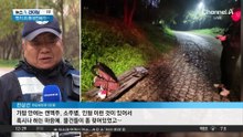 벤치 위 수상한 휴대전화…한강 빠진 시민 구조