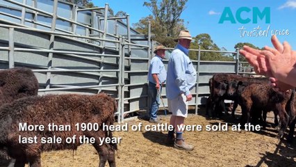 Local hub to regional powerhouse: the plan to secure Bega Saleyards’ future