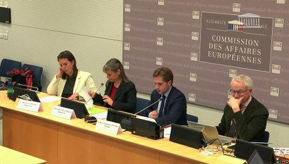 Commission des affaires européennes : Garantir l'intégrité de l'information sur le changement climatique ; Réaffirmer l’ambition climatique de la France - Mercredi 26 novembre 2025