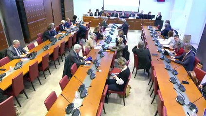 Commission des affaires culturelles et Commission des affaires sociales : Mise en place d’une continuité de revenu pour les artistes-auteurs - Mercredi 26 novembre 2025