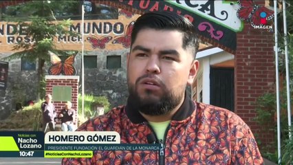 Piden que el Plan Michoacán por la Paz llegue al santuario de la mariposa monarca