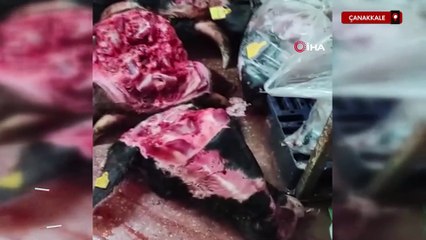 Çanakkale'de izinsiz ve uygunsuz şartlarda çalışan işletme mühürlendi