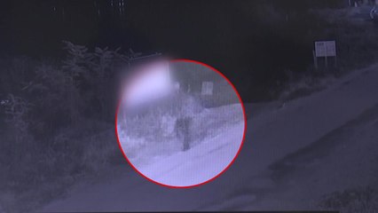 40일 넘게 실종된 여성 차 인양...실종자 발견 못 해 / YTN