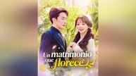 Un Matrimonio Que Florece Episodio Completo