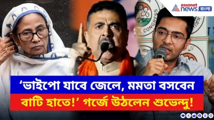 ‘ভাইপো যাবে জেলে, মমতা বসবেন বাটি হাতে!’ হলদিয়ায় গর্জে উঠলেন শুভেন্দু