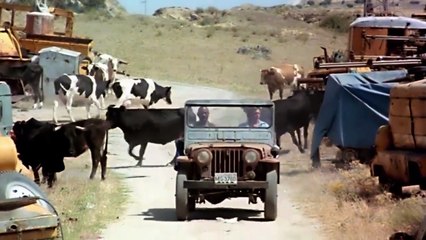 EL FELINO  Película Completa de Acción y Artes Marciales en Español