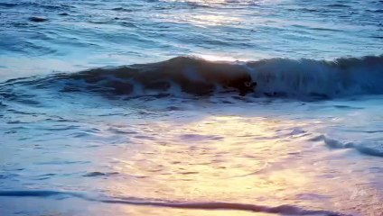 Home and Away 8627 13th November 2025