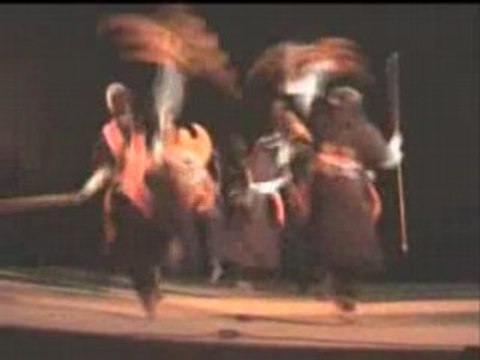 ASSOCIATION IZLMANE DJANET AGHR TOUAREG FOLKLORE DANCE