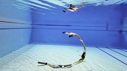 Exploring the Silence: Freediving Fun