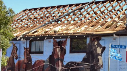 Clean up underway in rural NSW town following severe storm