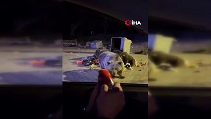 Bursa Uludağ’da tehlikeli anlar! Ölümden döndüler