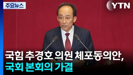 '추경호 체포안' 여 주도 가결...'K-스틸법' 등 처리 / YTN