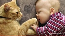 Cat’s disturbing sleep baby
