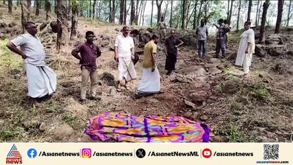 സംസ്ഥാനത്ത് ഈ വർഷം കാട്ടാന ആക്രമണത്തിൽ പൊലിഞ്ഞത് 26 ജീവൻ