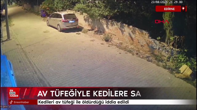 Edirne'de kedileri av tüfeği ile öldürdüğü iddia edildi: Komşu hakkında hapis istemi