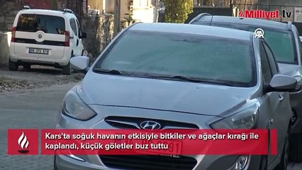 Bir kent adeta dondu! Sıfırın altında 5 dereceyi gördü, araçlarını battaniye ile korudular