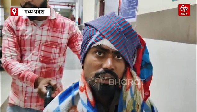 बुरहानपुर में परंपरा के नाम पर पशु क्रूरता, प्रतिबंध के बावजूद कराई गई पाड़ों की टक्कर