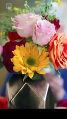 La Marca Del Amor Verdadero en Español [ English Movies ]