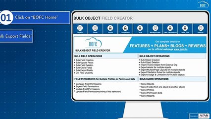 How to Export Multiple Salesforce Objects?