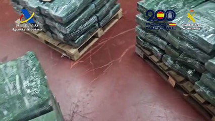 Intervenidas dos toneladas de cocaína escondidas entre fruta en el puerto de Valencia