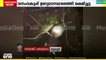 'ഞാനൊരു പാവം മ്ലാവാണേ...' തൃശ്ശൂർ മാന്നാമംഗലത്ത് വീട്ടിലെ കിണറ്റിൽ വീണ മ്ലാവിനെ രക്ഷിച്ചു