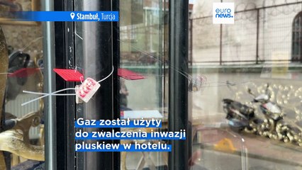 Raport z autopsji sugeruje, że czteroosobowa rodzina została zabita przez pestycydy w hotelu w Stambule