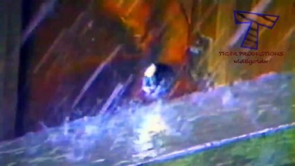 Epic Funny Video 😂😂😂 #shorts#viralshorts#comedy#funnymoments#fails#humor